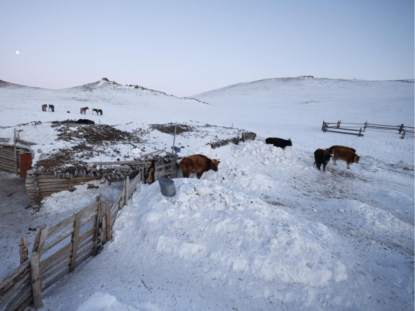 Томилгоот бүлгүүд цасанд дарагдсан 502 өрхийн гэр хашааг гаргаж, 201 айлыг нүүлгэн шилжүүлжээ